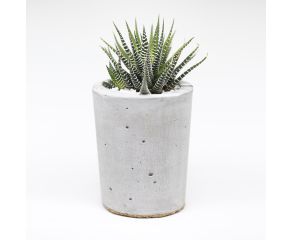 Vaso Cilindro
