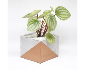 vaso em concreto