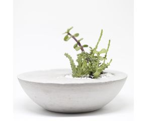 vaso concreto com furo descentralizado