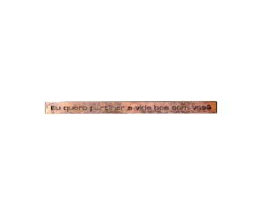 Placa Decorativa Trechos II 