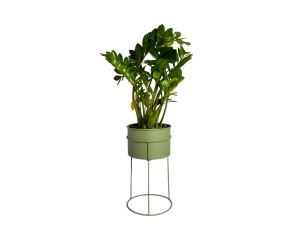 Suporte de Plantas com Vaso Humaitá
