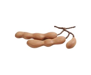 Escultura Tamarindo