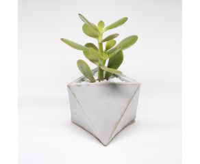 vaso geométrico em concreto
